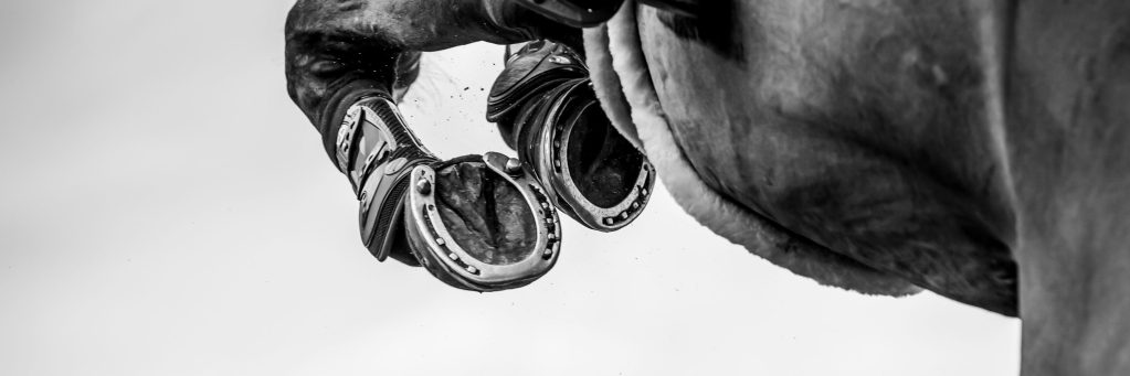 Horse jumping, showjumping, studs, horse shoes, farrier, black and white horse image, performance horse. Equine vet website
